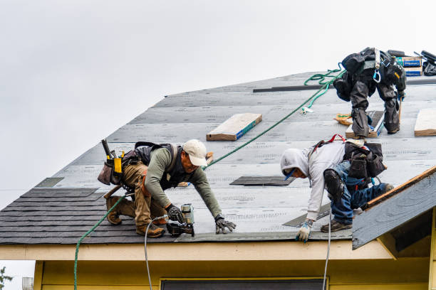 Professional Storm Damage Roof Repair technician working in Baldwin, IA